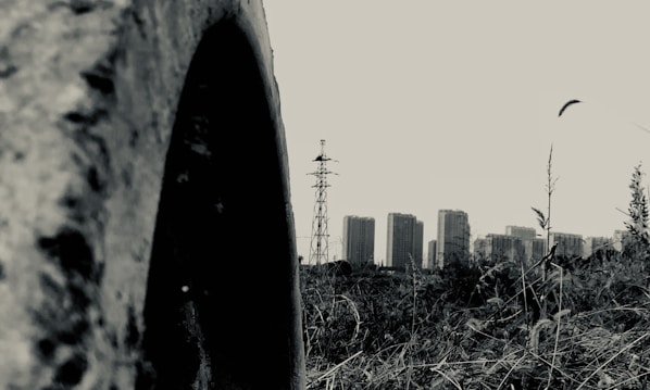 A large, rough-textured pipe in the foreground with tall grass and weeds surrounding it. In the background, a cityscape is visible with high-rise buildings and a lone transmission tower. The image has a monochromatic color scheme, giving it a stark and gritty appearance.