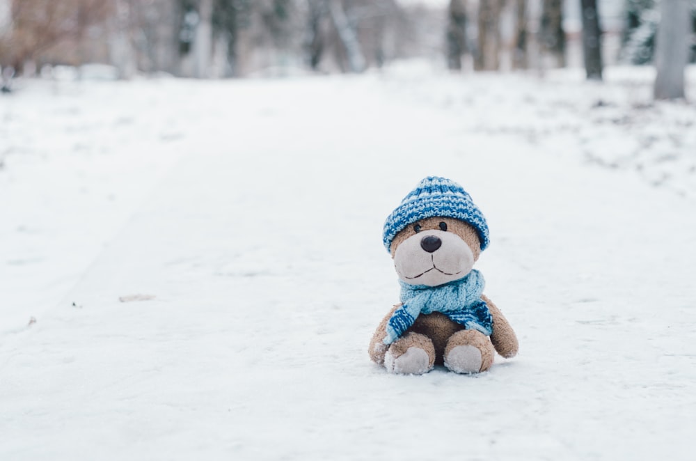 brown bear plush toy wearing blue knitted beanie