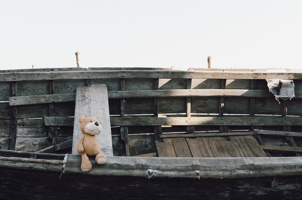 brown bear on boat