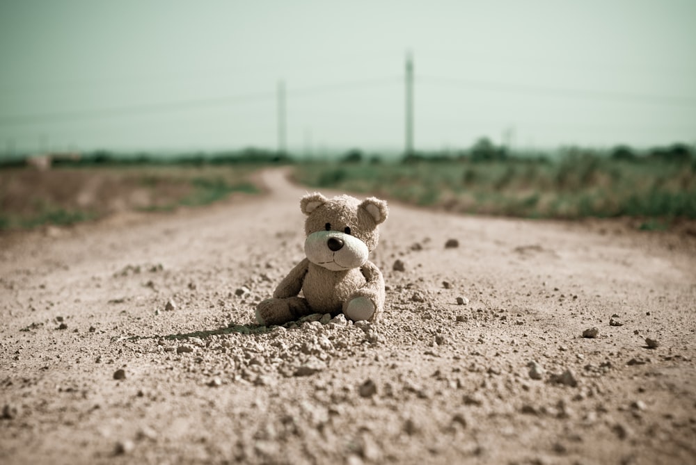 grey bear plush toy at road