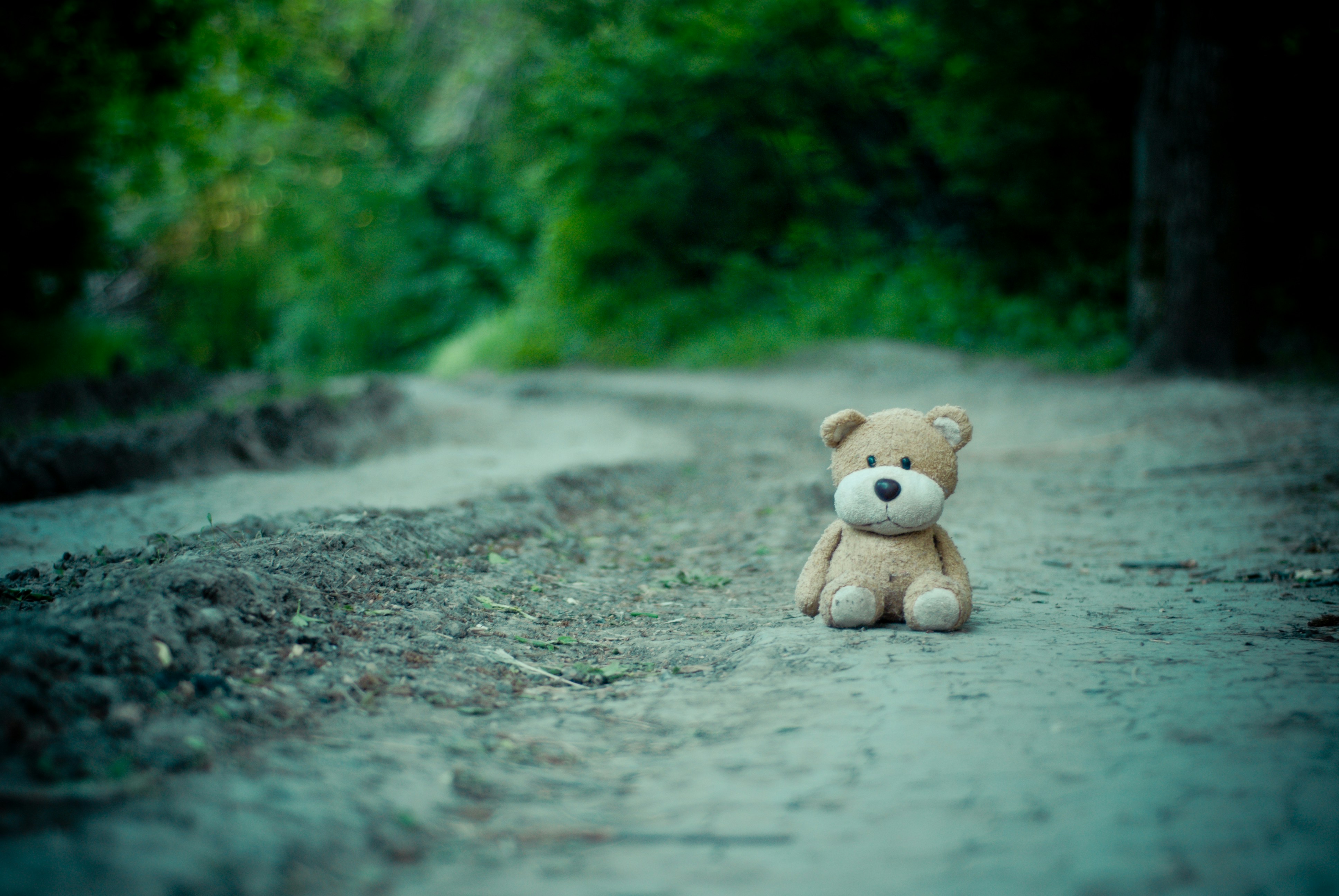 brown dog plush toy on dirt road
