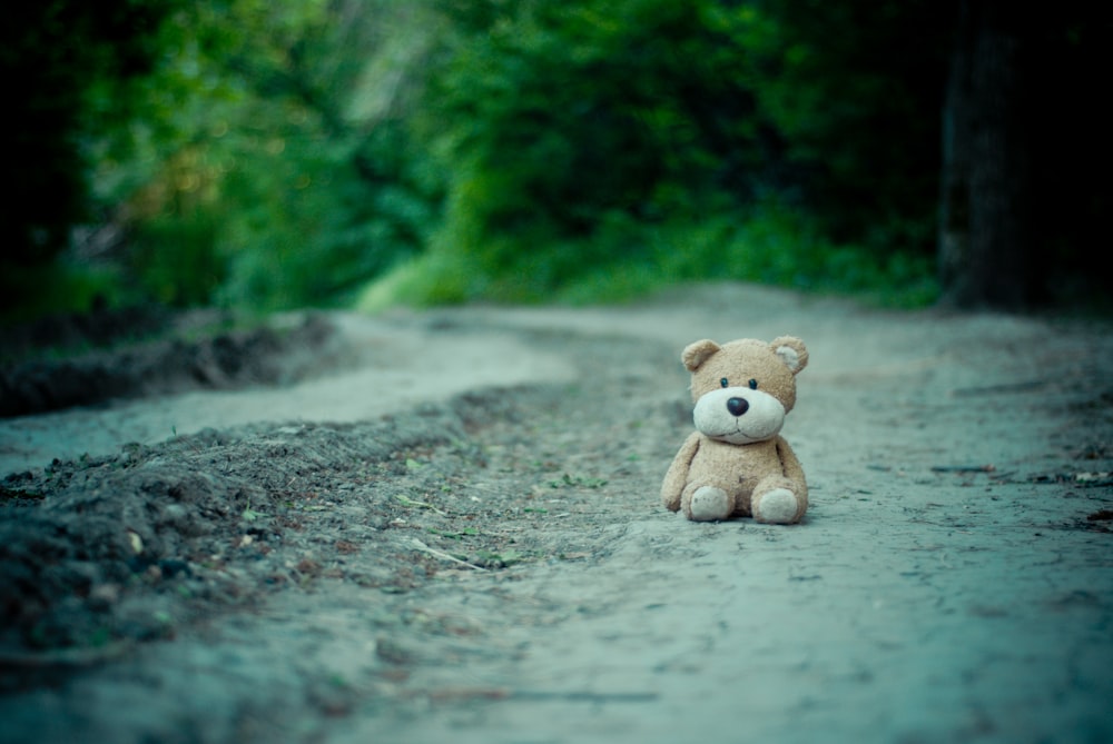 brown dog plush toy on dirt road