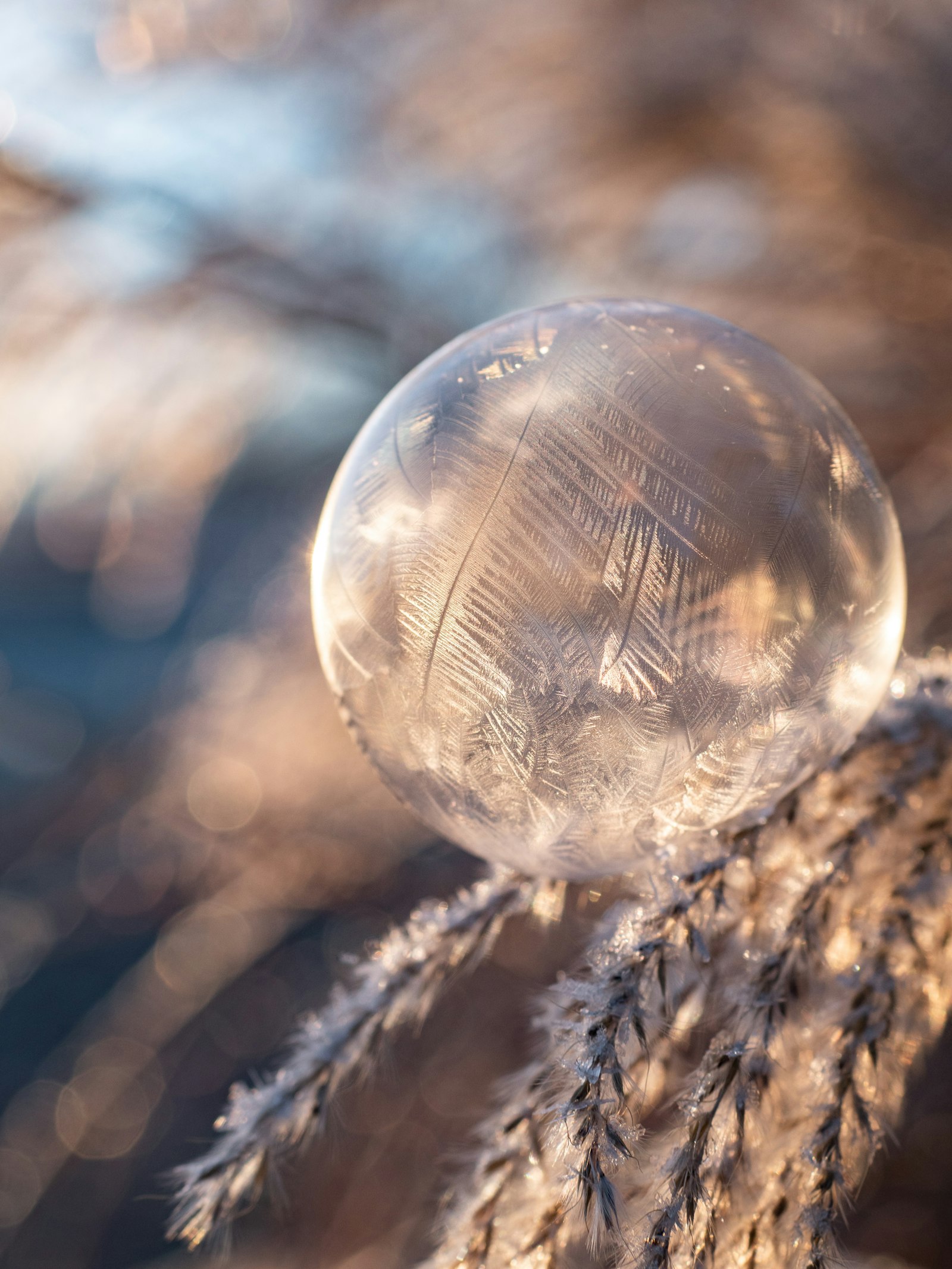 Panasonic Lumix G 42.5mm F1.7 ASPH Power OIS sample photo. Round water drop photo photography