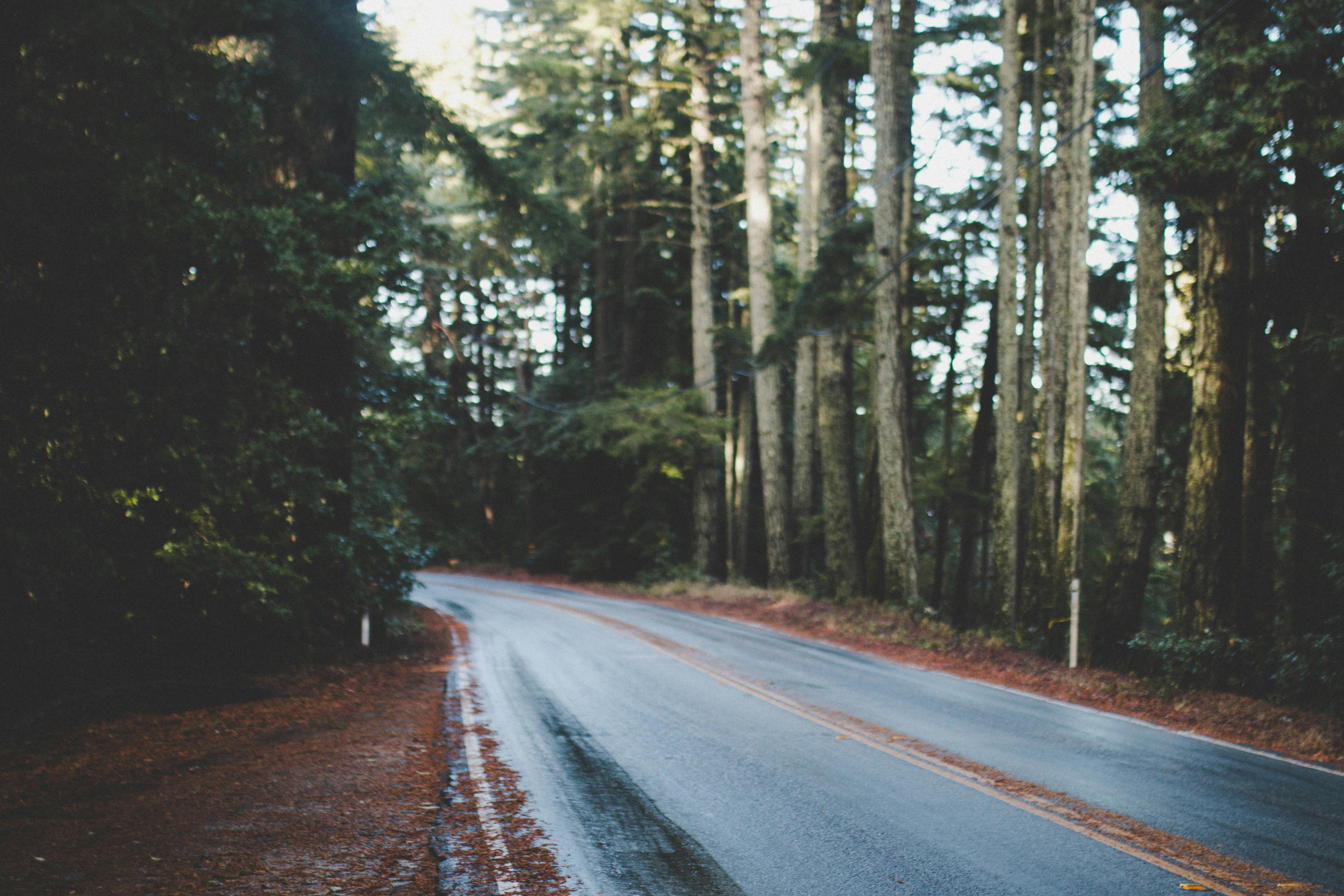 Photo by devjustesen