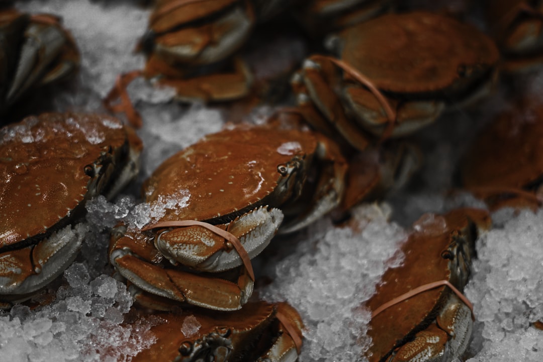 orange crabs,
