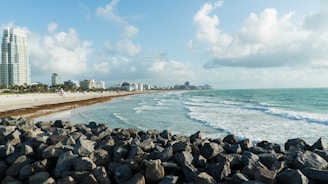 stones on shore during daytime