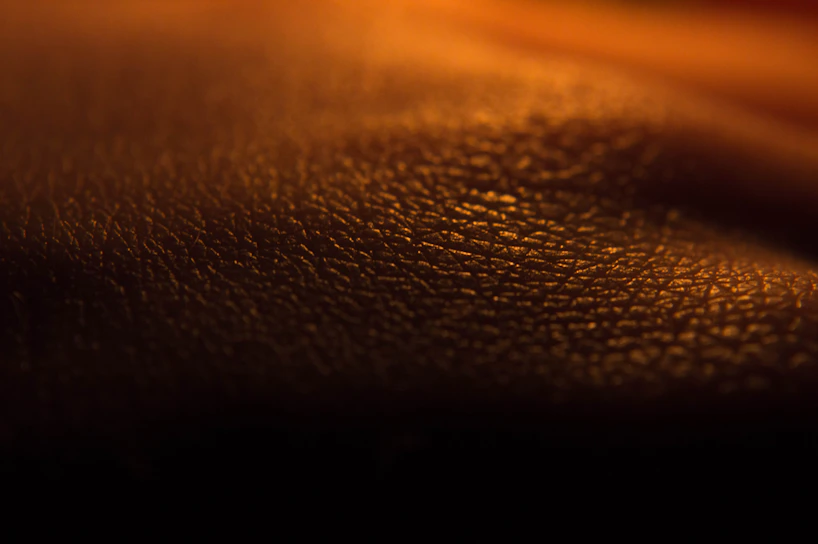 Close-up of a Hahnemühle print showing rich texture and vibrant colors in a modern studio setting