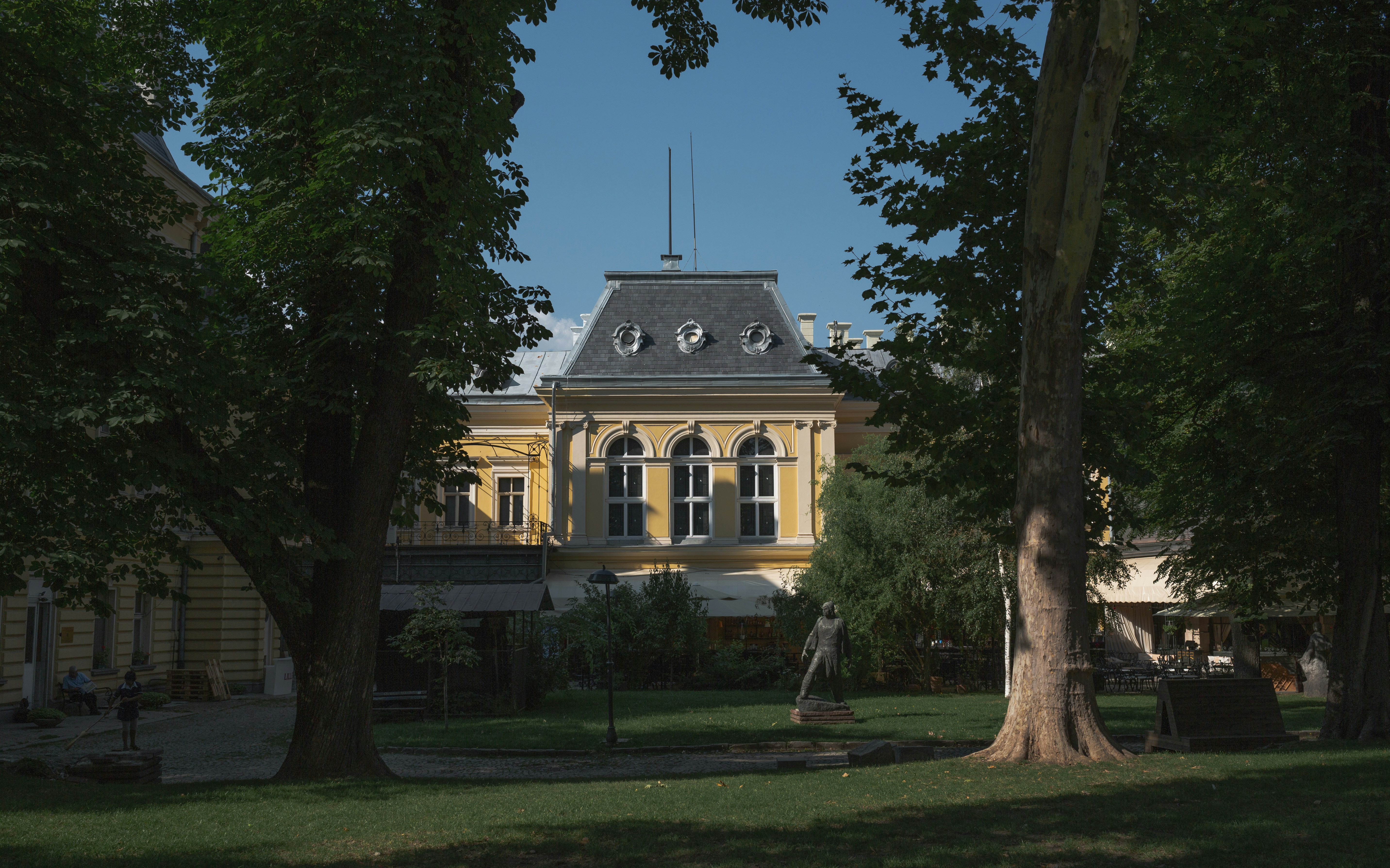 selective focus phoography of house