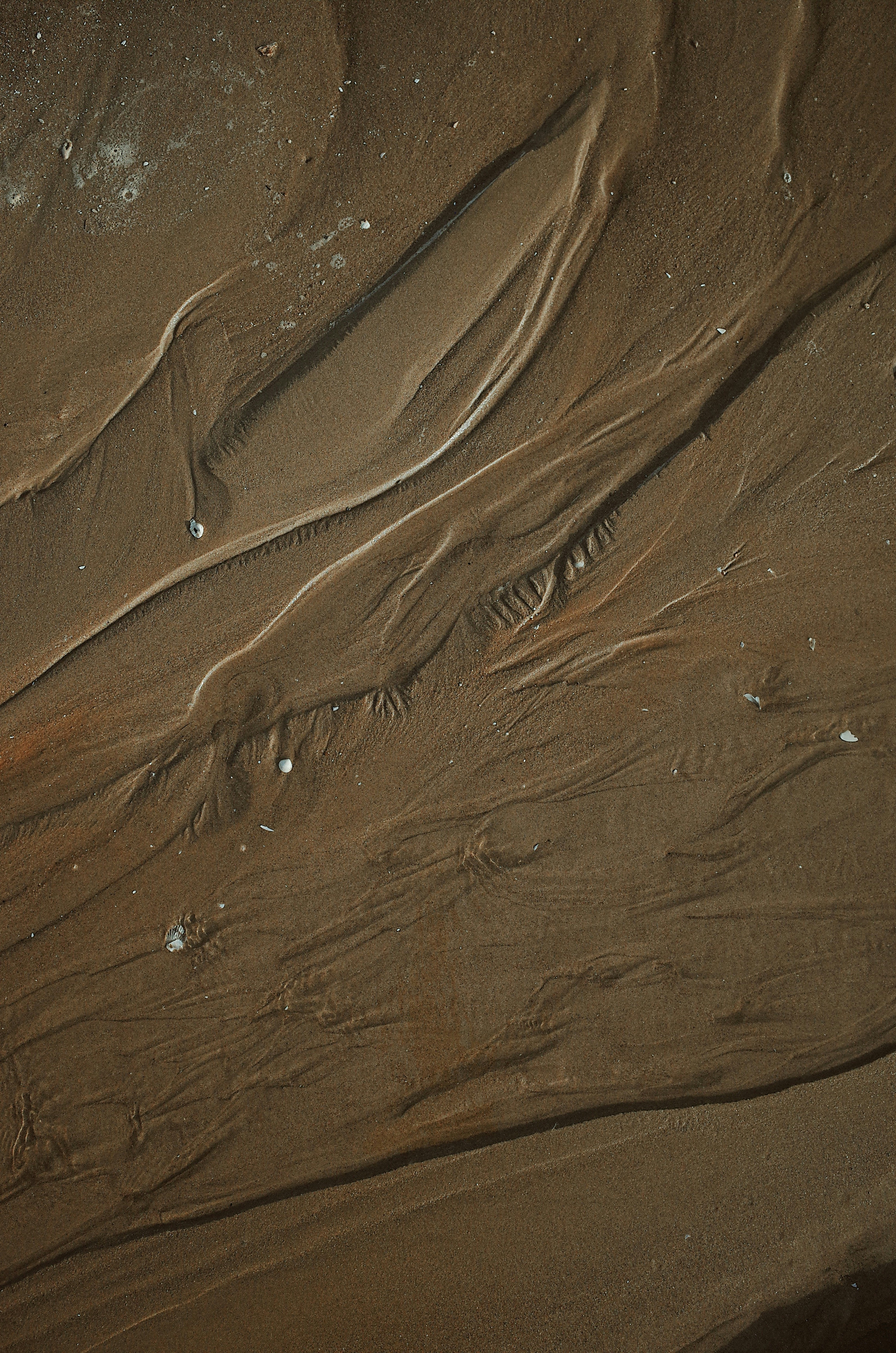 Photo by dynamicwang