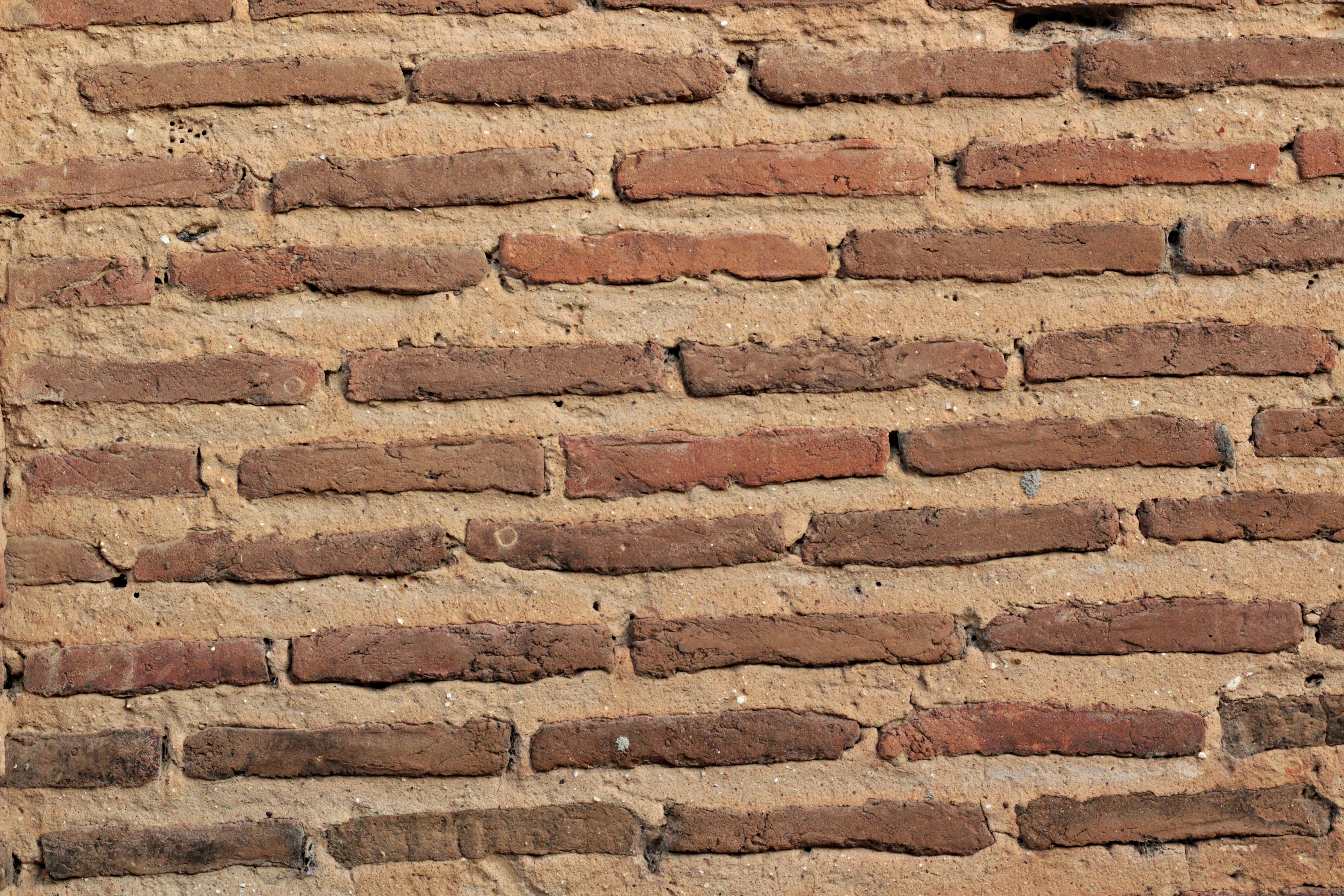 Photo by igorrodrigues