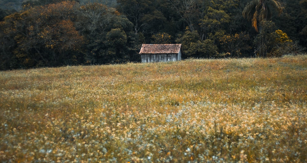 Holzhaus in ländlicher Gegend