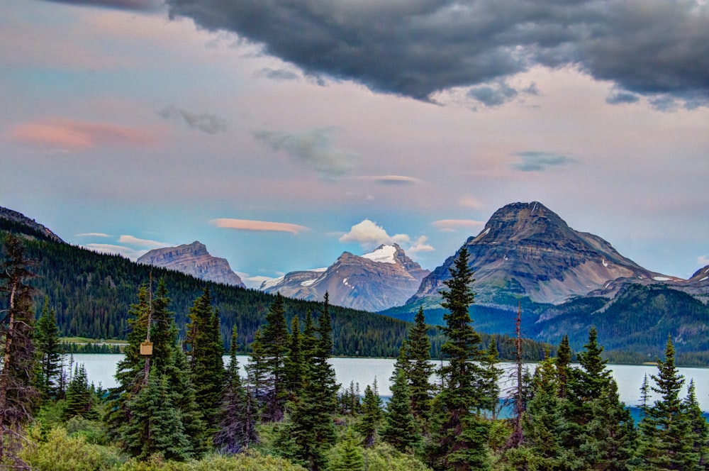 green trees across mountains