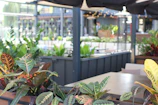 Serene outdoor terrace with natural plants and subtle, warm lighting.
