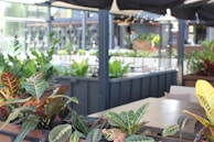 A stunning outdoor area designed for hospitality.