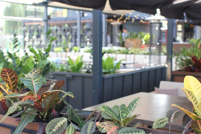 A serene outdoor dining area with numerous vibrant plants arranged in planters around the space. The design features a modern aesthetic with blue metal frames and neutral-colored furniture. Soft lighting creates a warm and inviting ambiance.