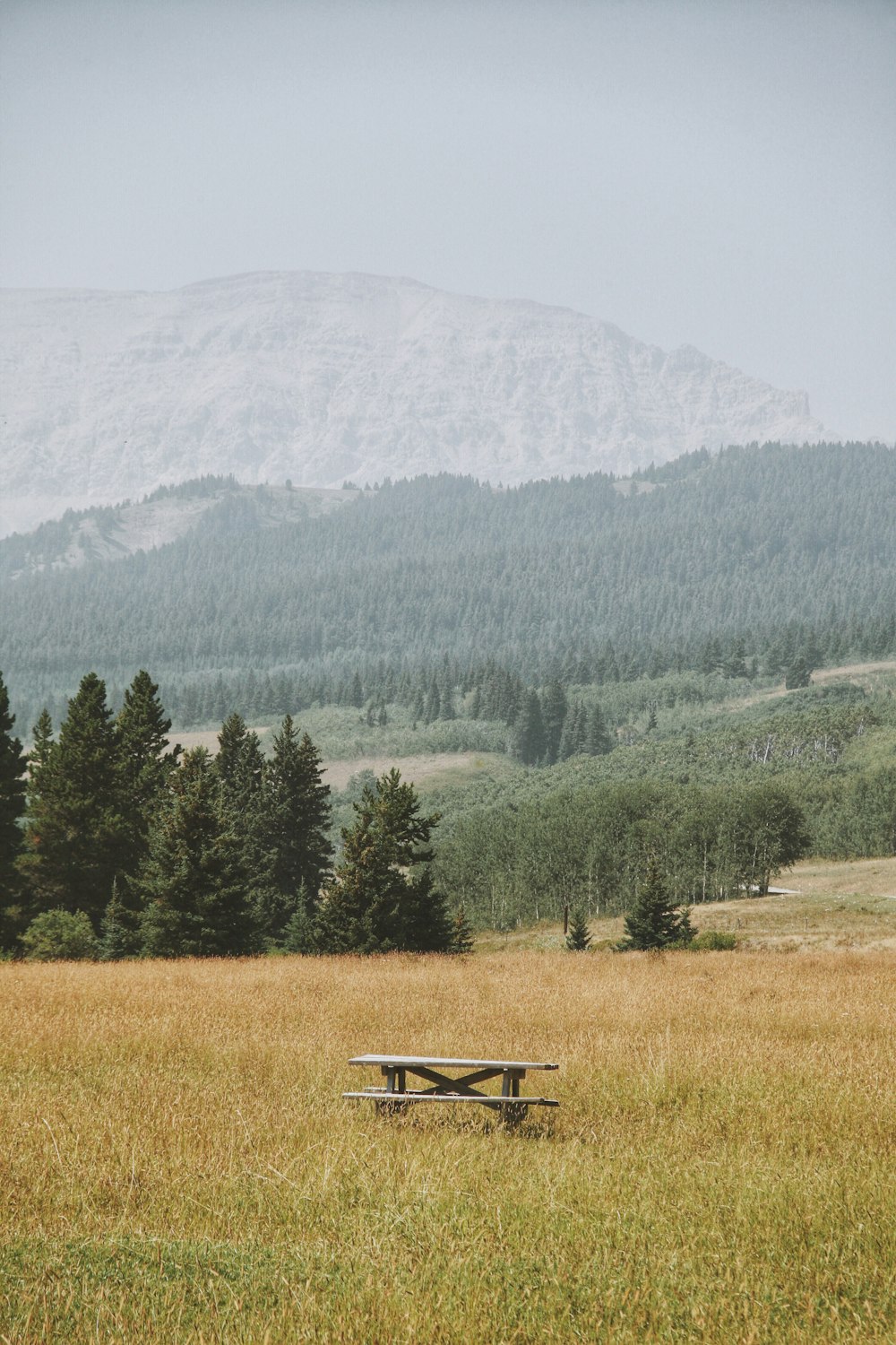 brown wooden bench in middle of open field overlooking mountains
