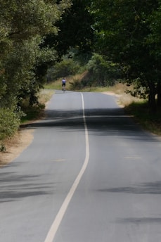 A serene mountain landscape with a cyclist riding along a winding road, surrounded by lush greenery.