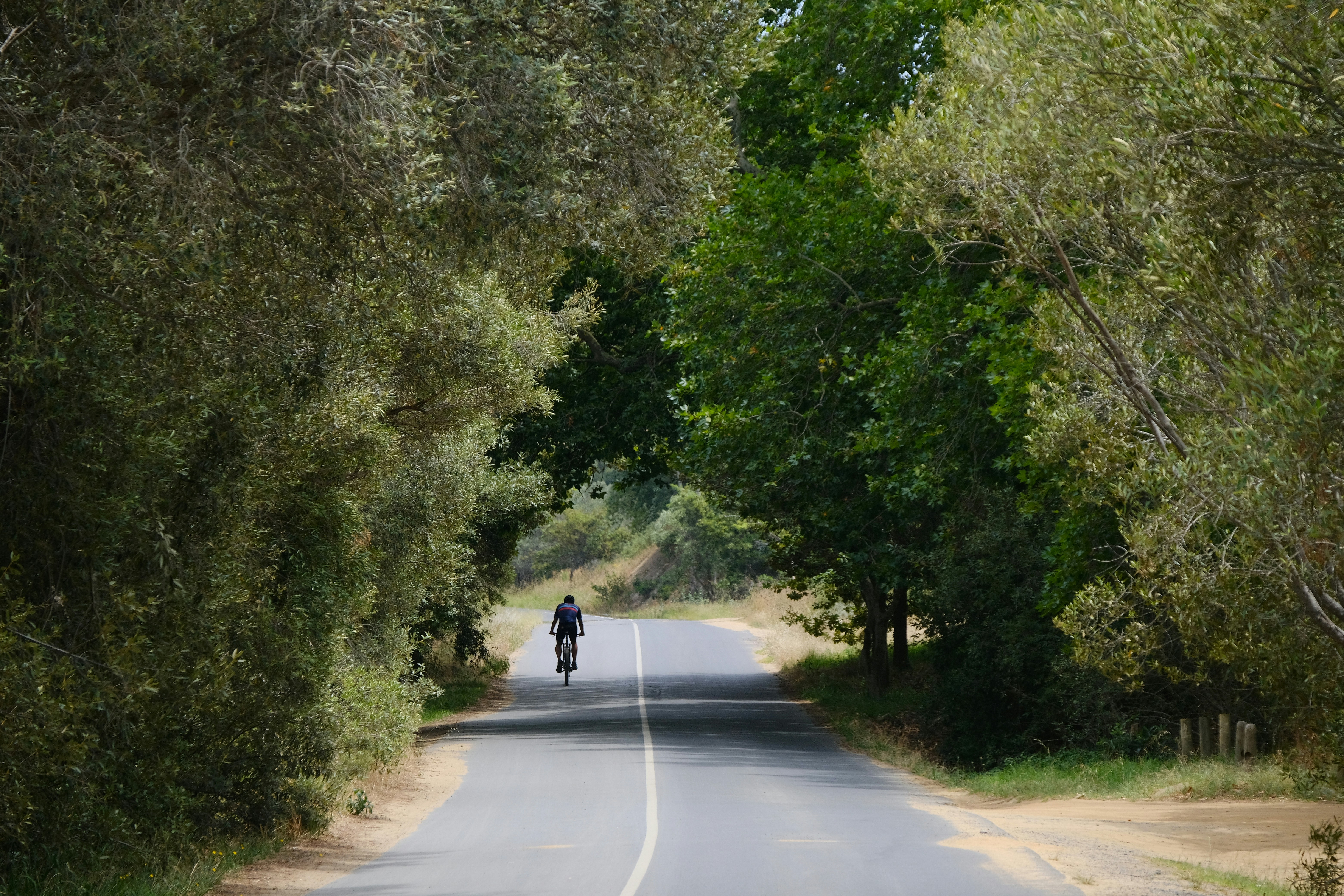 person riding bike on road