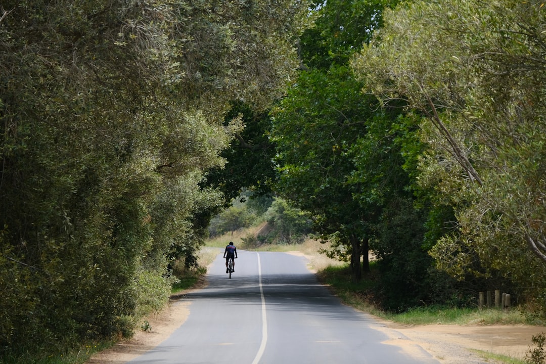 Nature reserve photo spot Vergelegen Ave South Africa