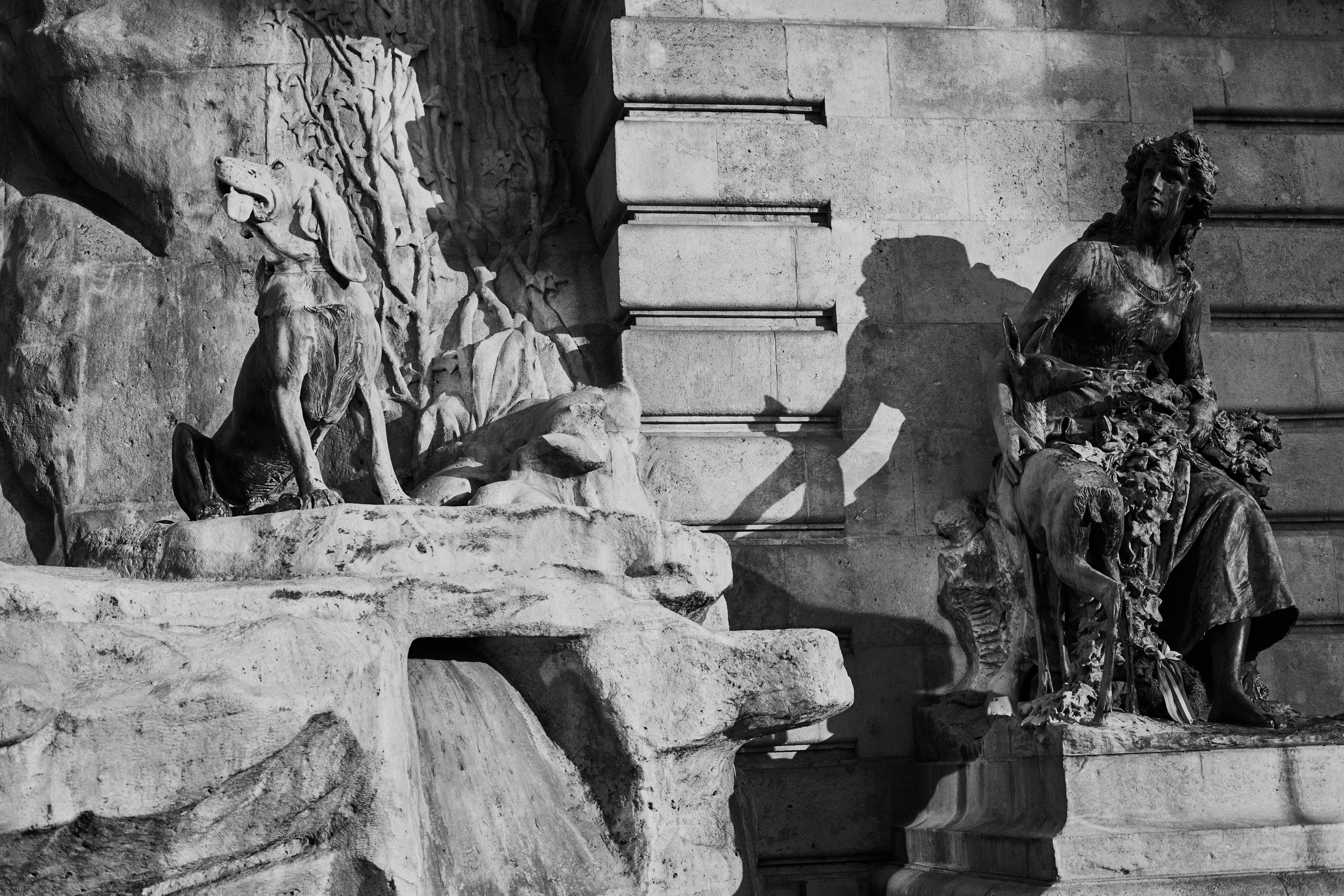 Photo by outsidethccn