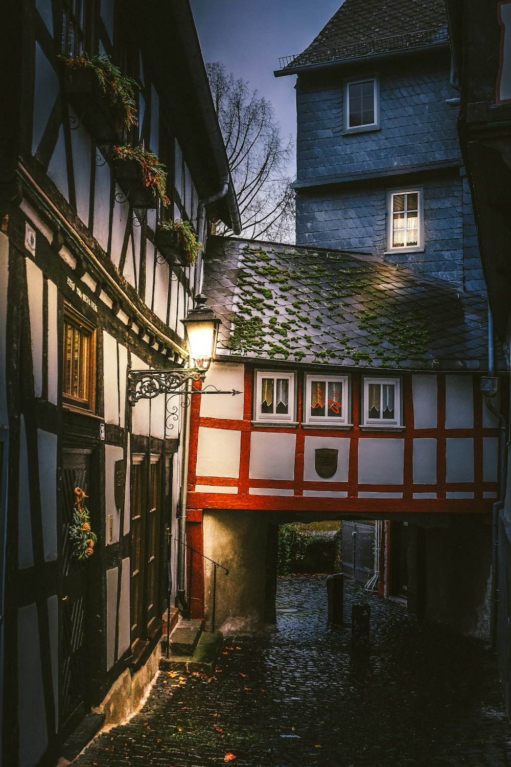 Maison en bois blanc et marron