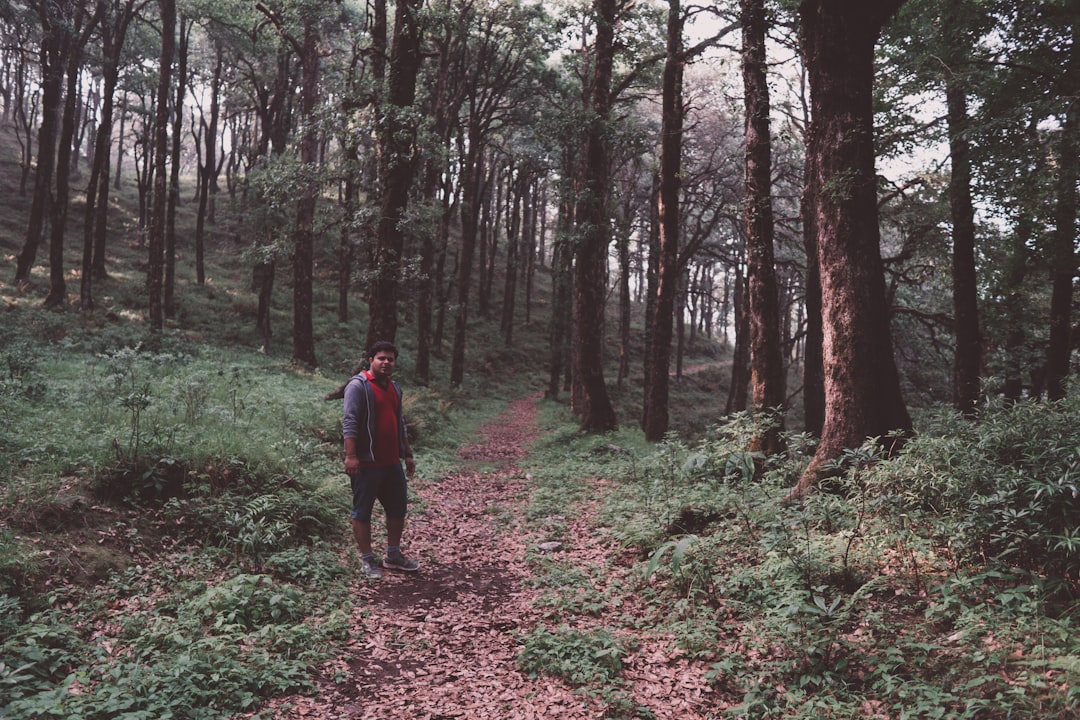 man wearing gray hoodie across woods