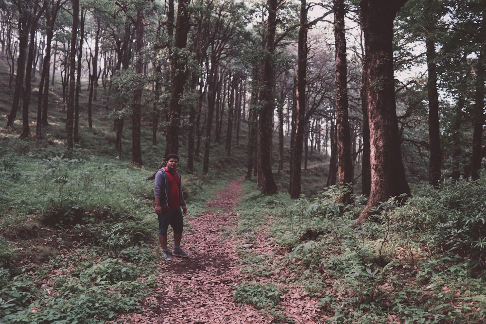 man wearing gray hoodie across woods