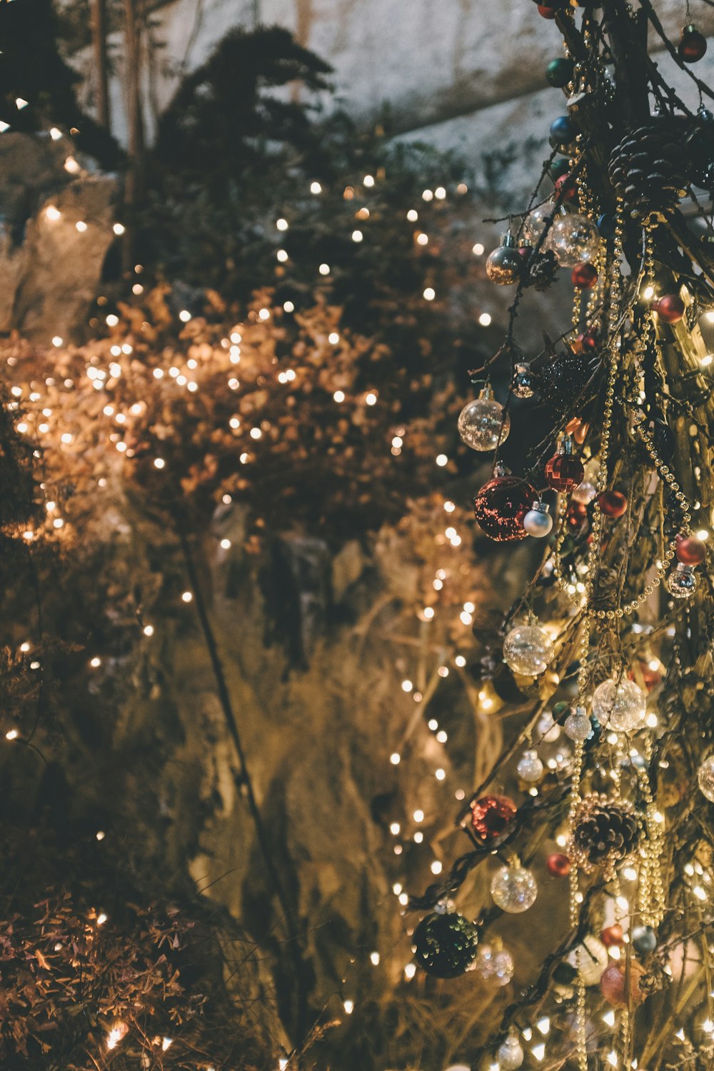 lighted string lights on green tree