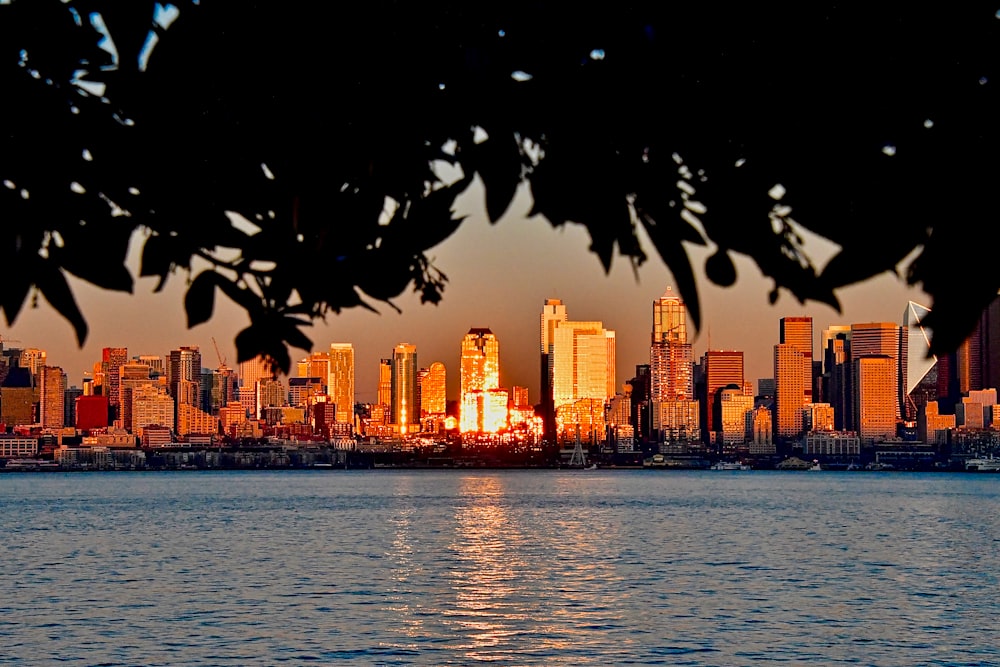 high-rise buildings near body of water