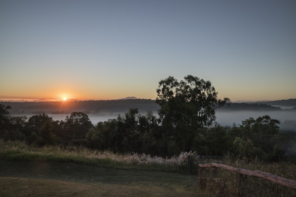 A serene landscape at sunrise with a glowing sun rising over distant hills and a misty river. The foreground features lush green grass and tall trees, while a wooden fence runs along the right side.