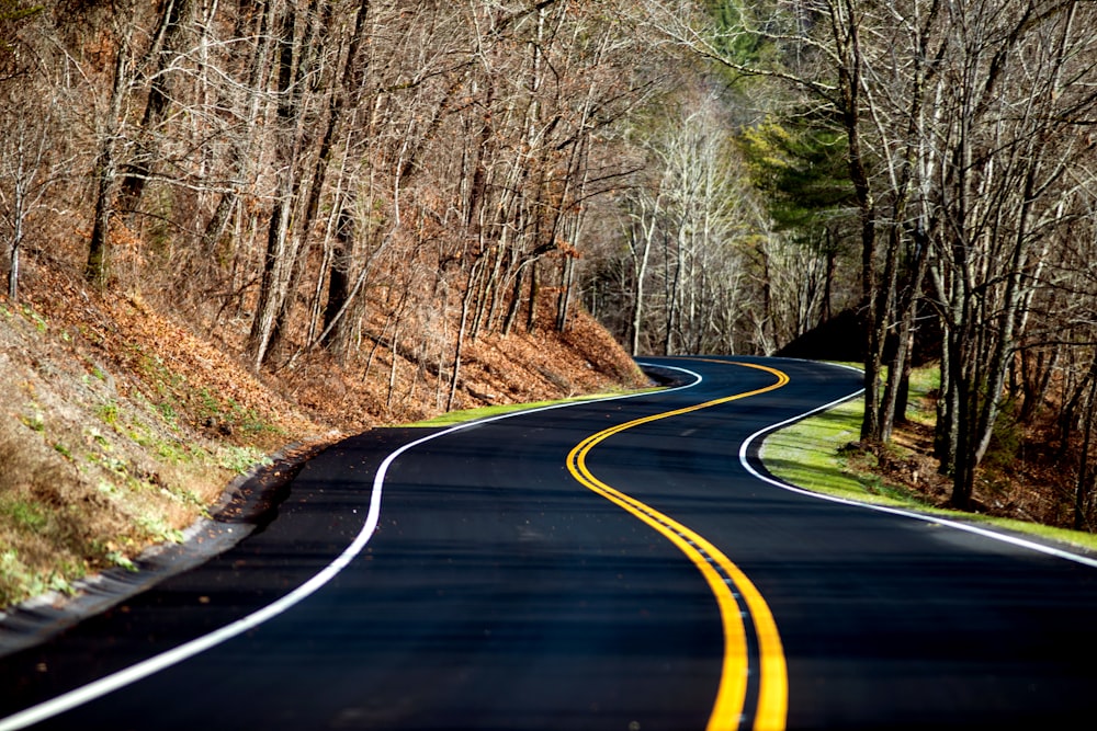 open curved road during daytime