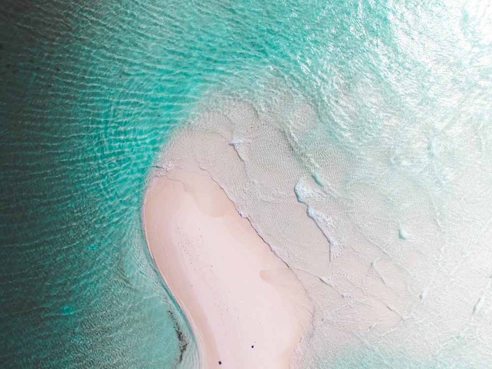 body of water on shore during daytime