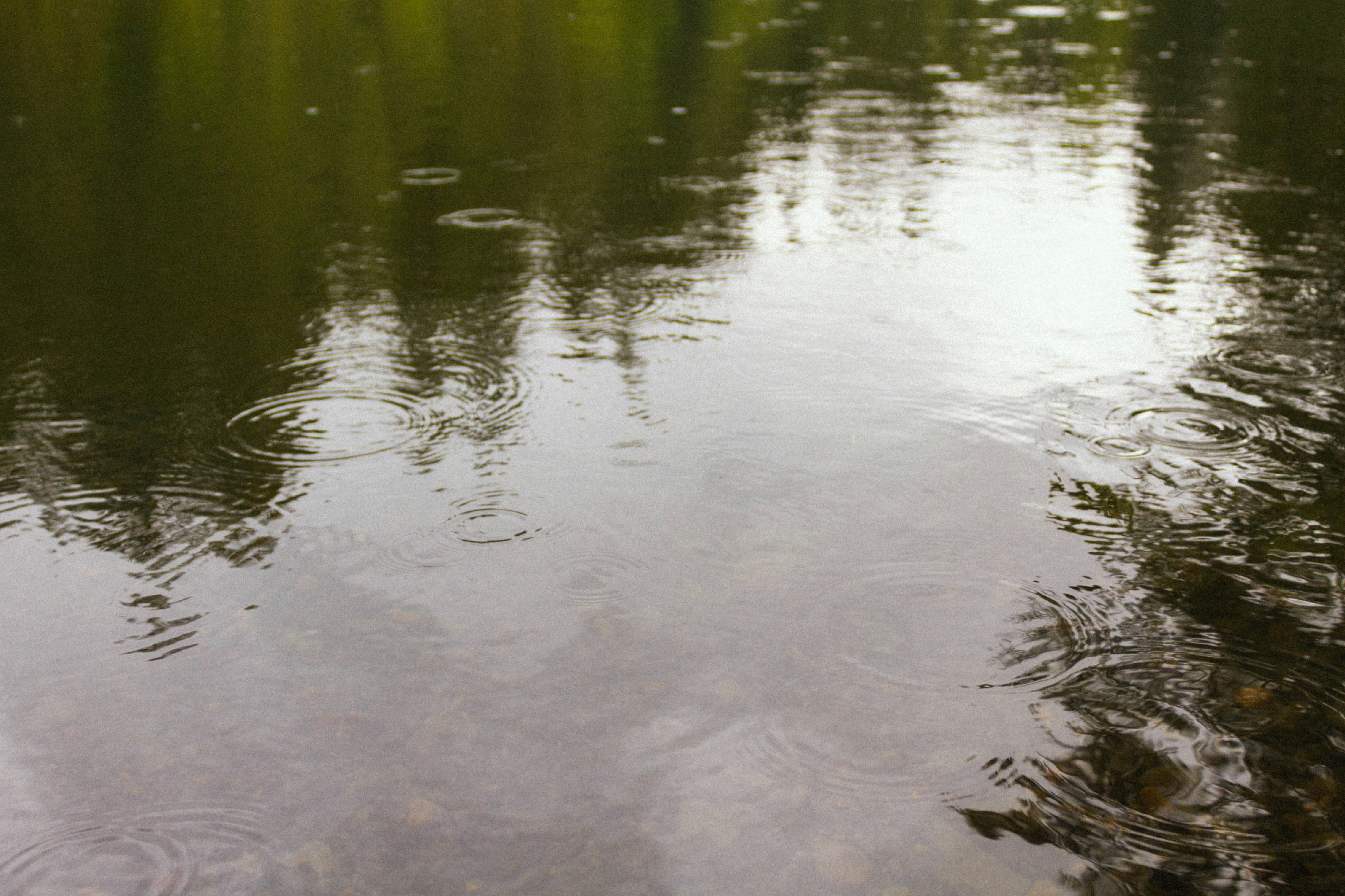 Photo by ivan_kosovan