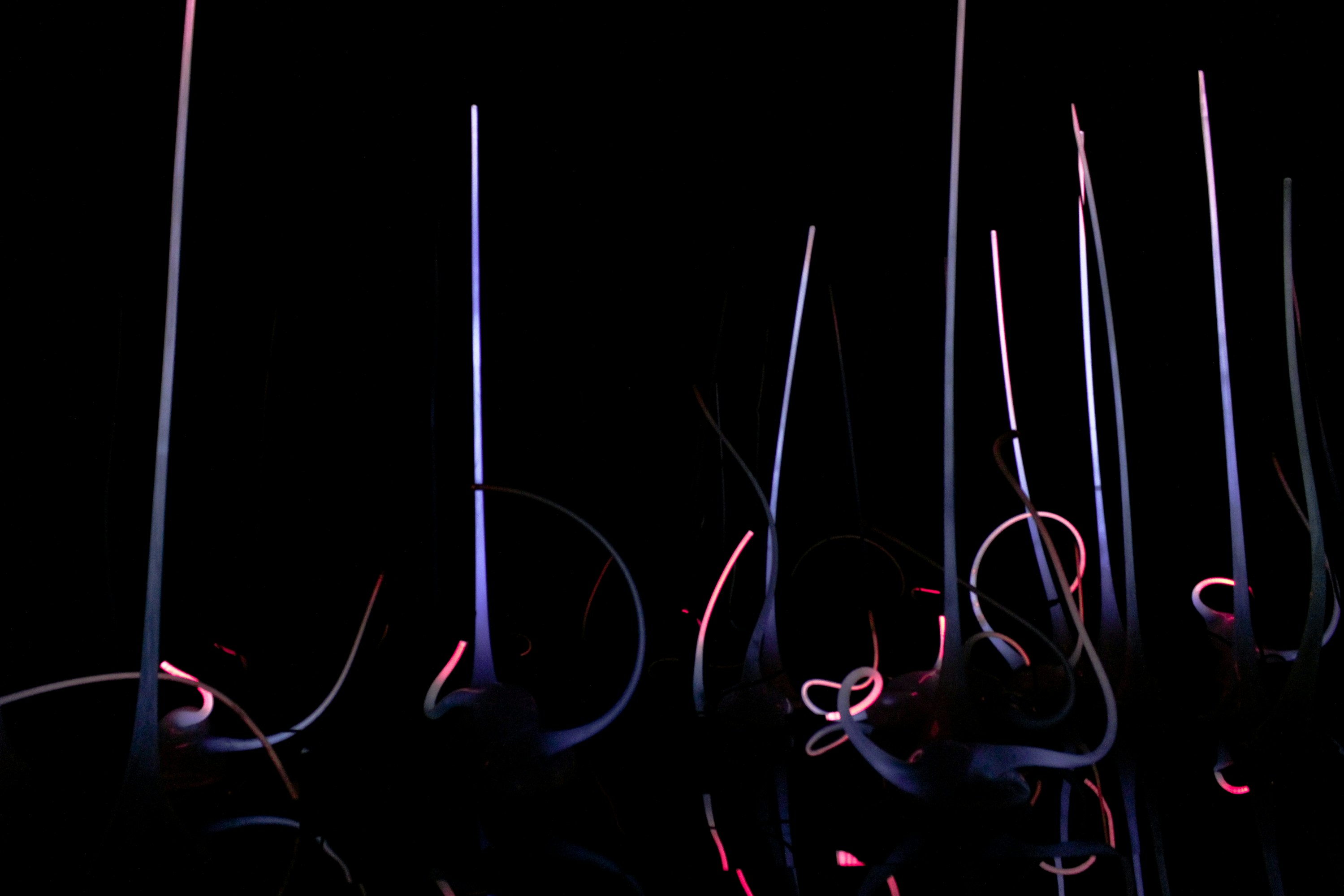 black and purple LED light