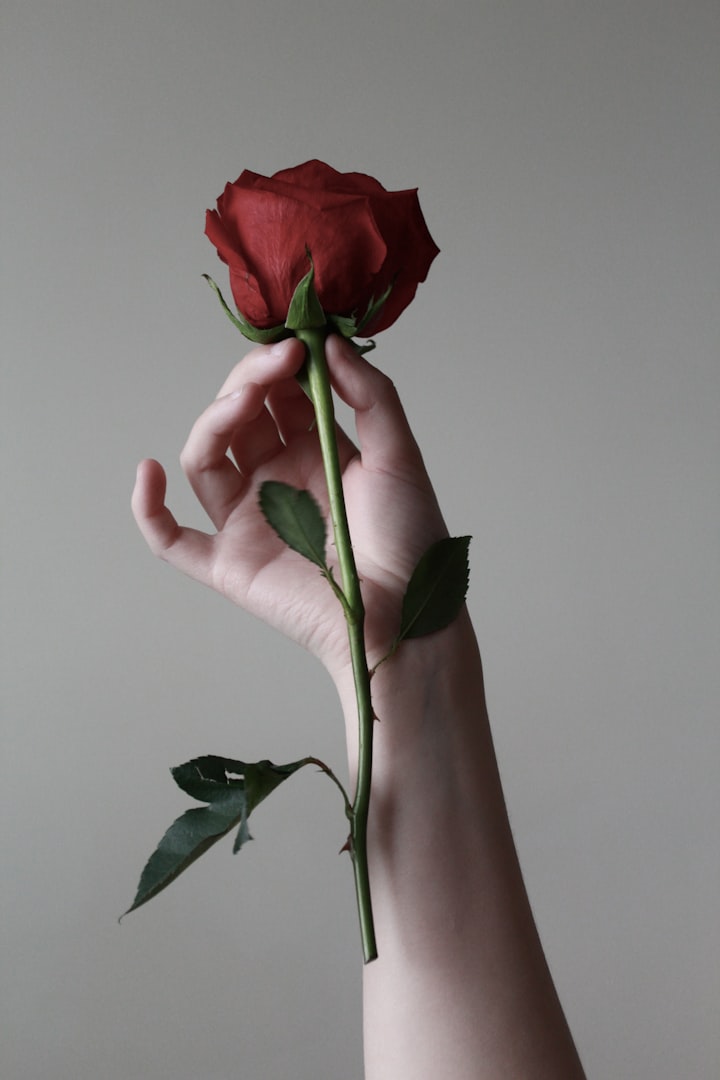 Charming Rose