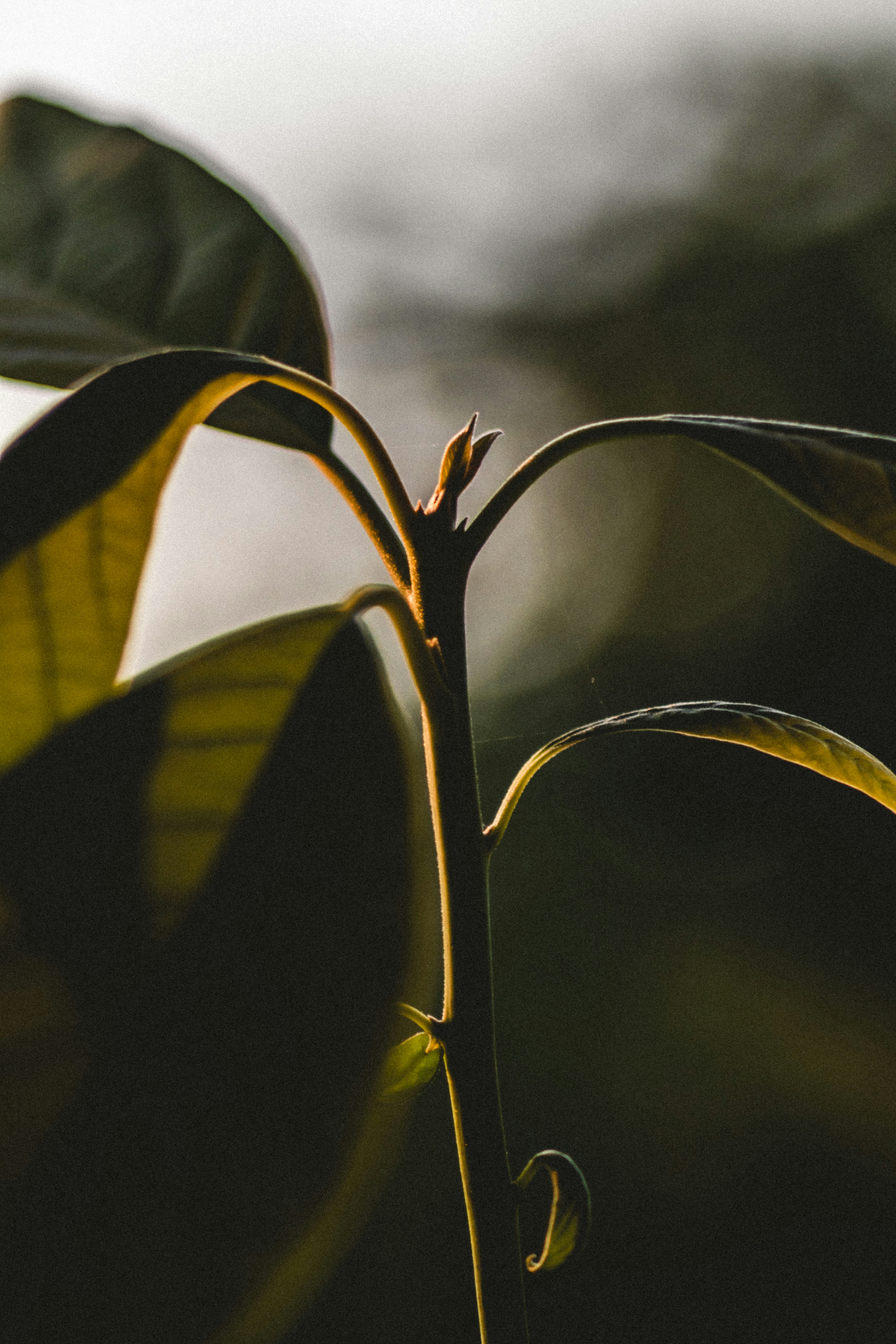 Photo by designfuchs