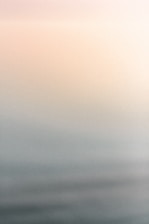 a black and white photo of a bird flying in the sky
