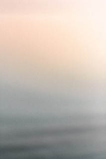 a black and white photo of a bird flying in the sky