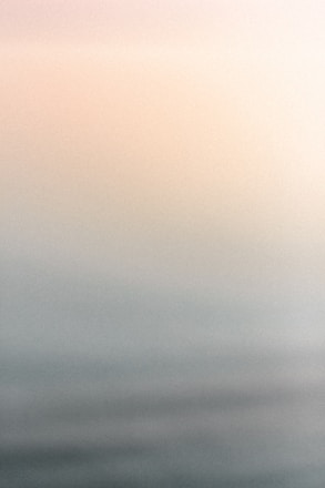 a black and white photo of a bird flying in the sky
