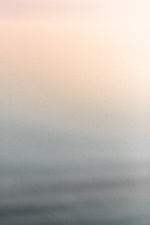 a black and white photo of a bird flying in the sky
