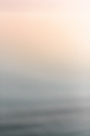 a black and white photo of a bird flying in the sky