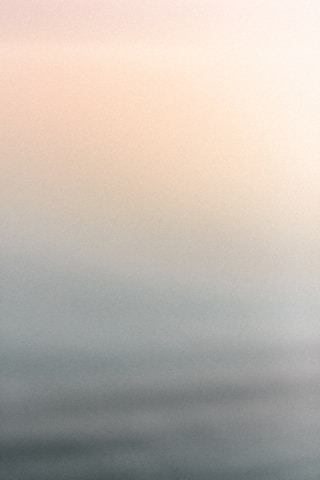 a black and white photo of a bird flying in the sky