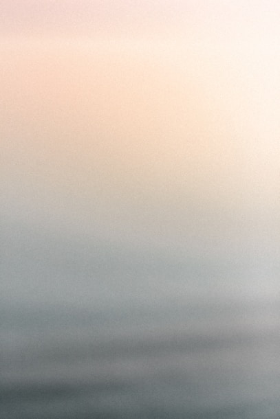 a black and white photo of a bird flying in the sky