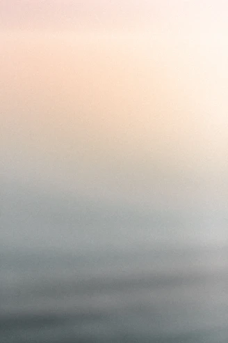 a black and white photo of a bird flying in the sky