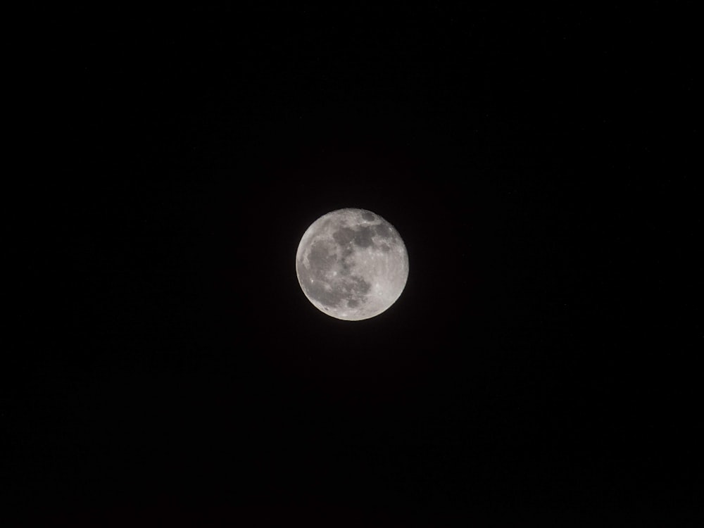 gray moon at night