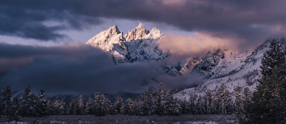 mountains covered with snow