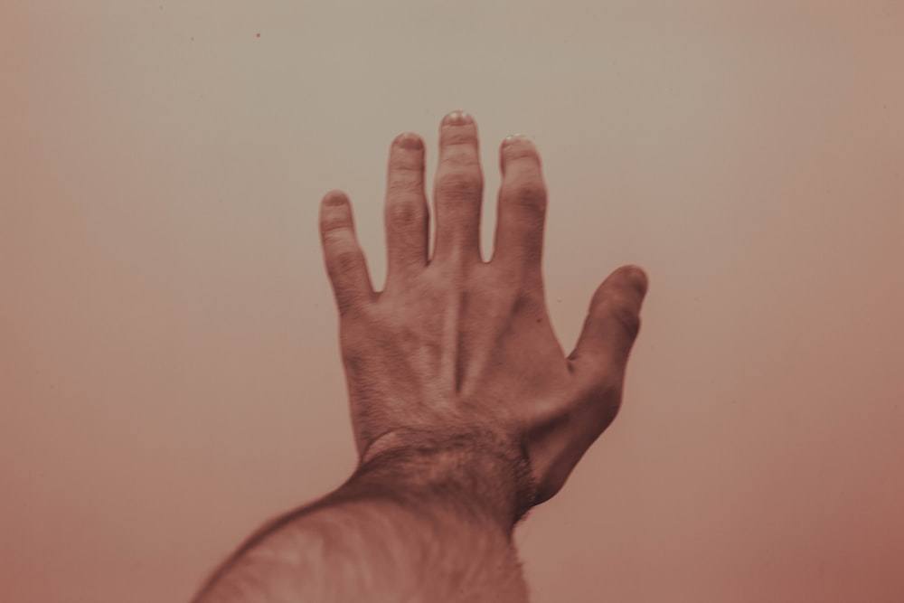 la main gauche de la personne