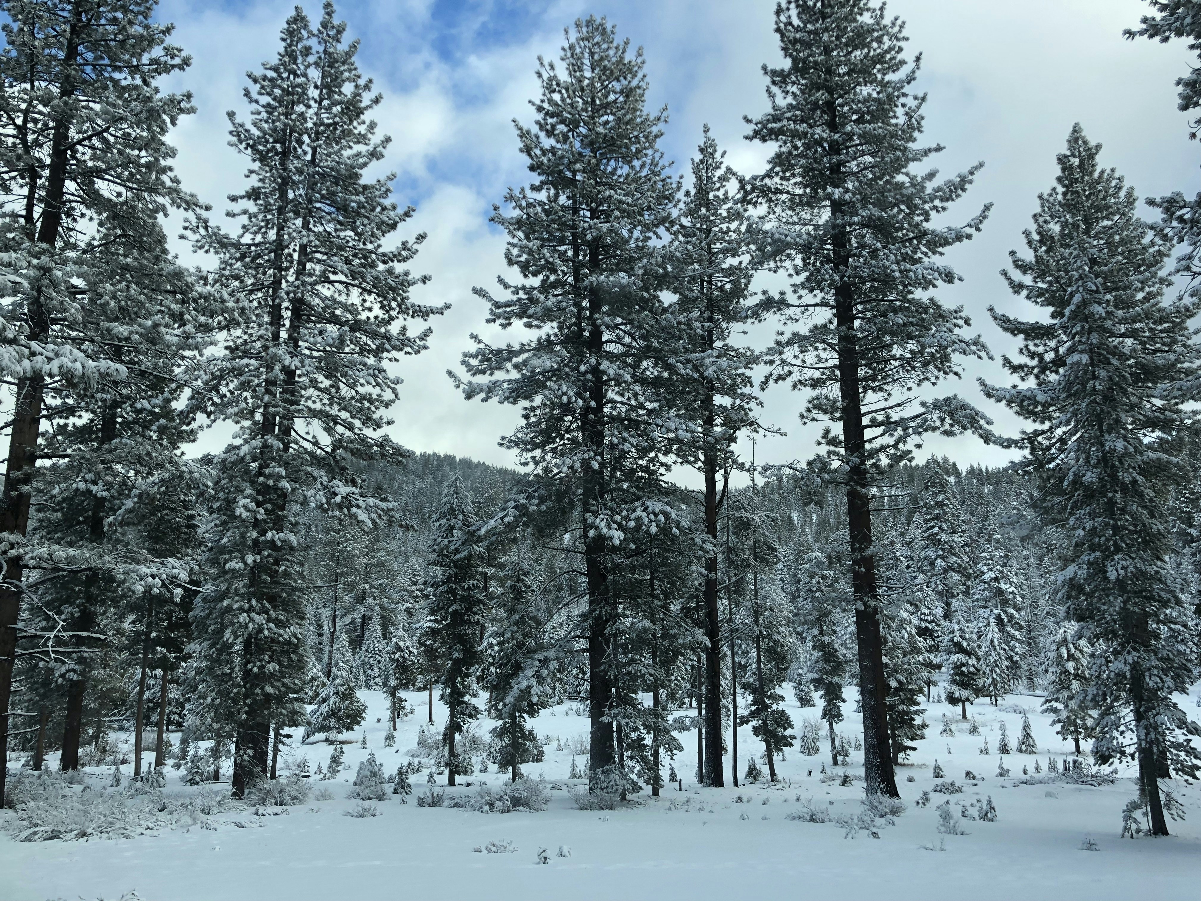 Photo by tusharborole