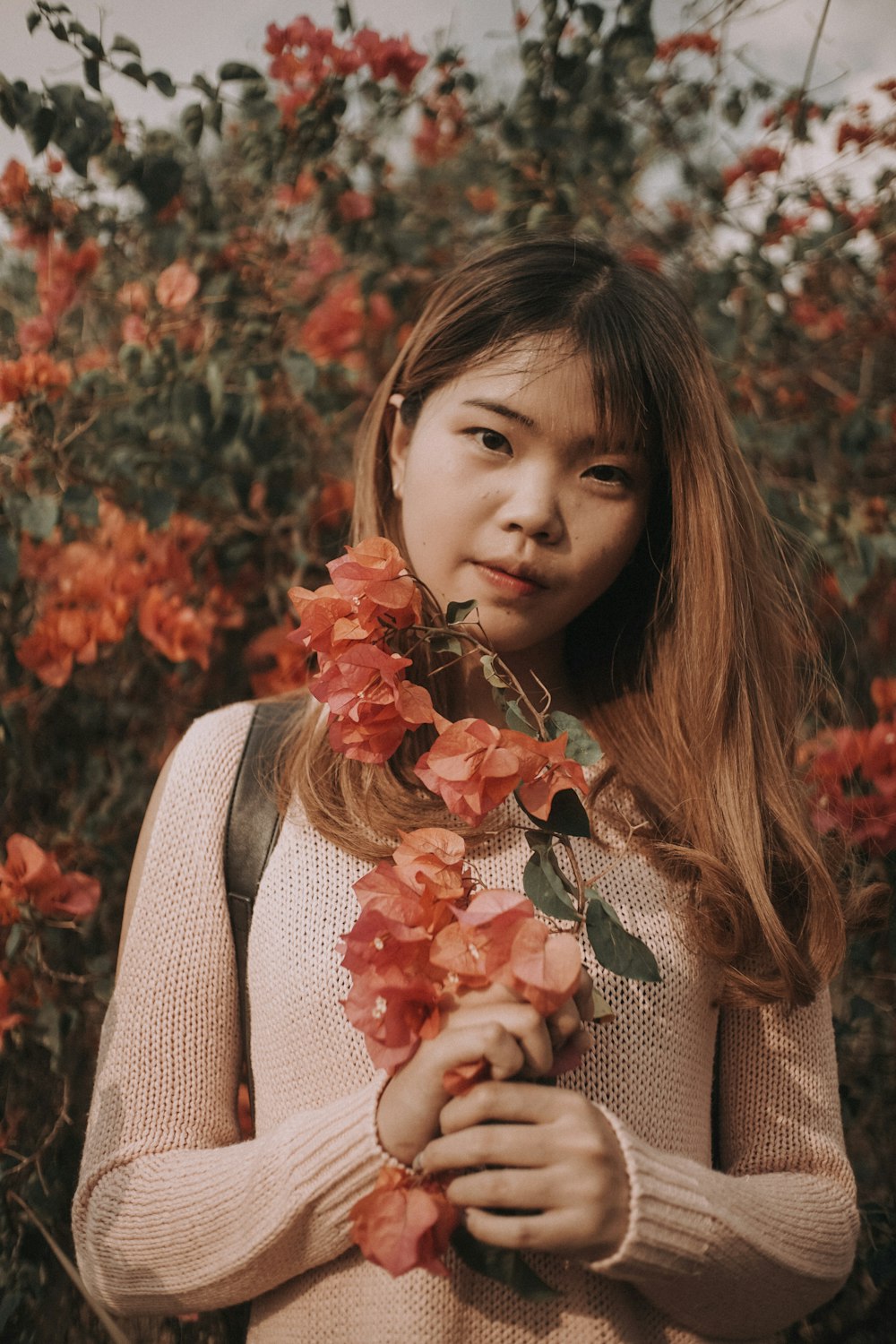 girl holding pink petaled flower at daytime