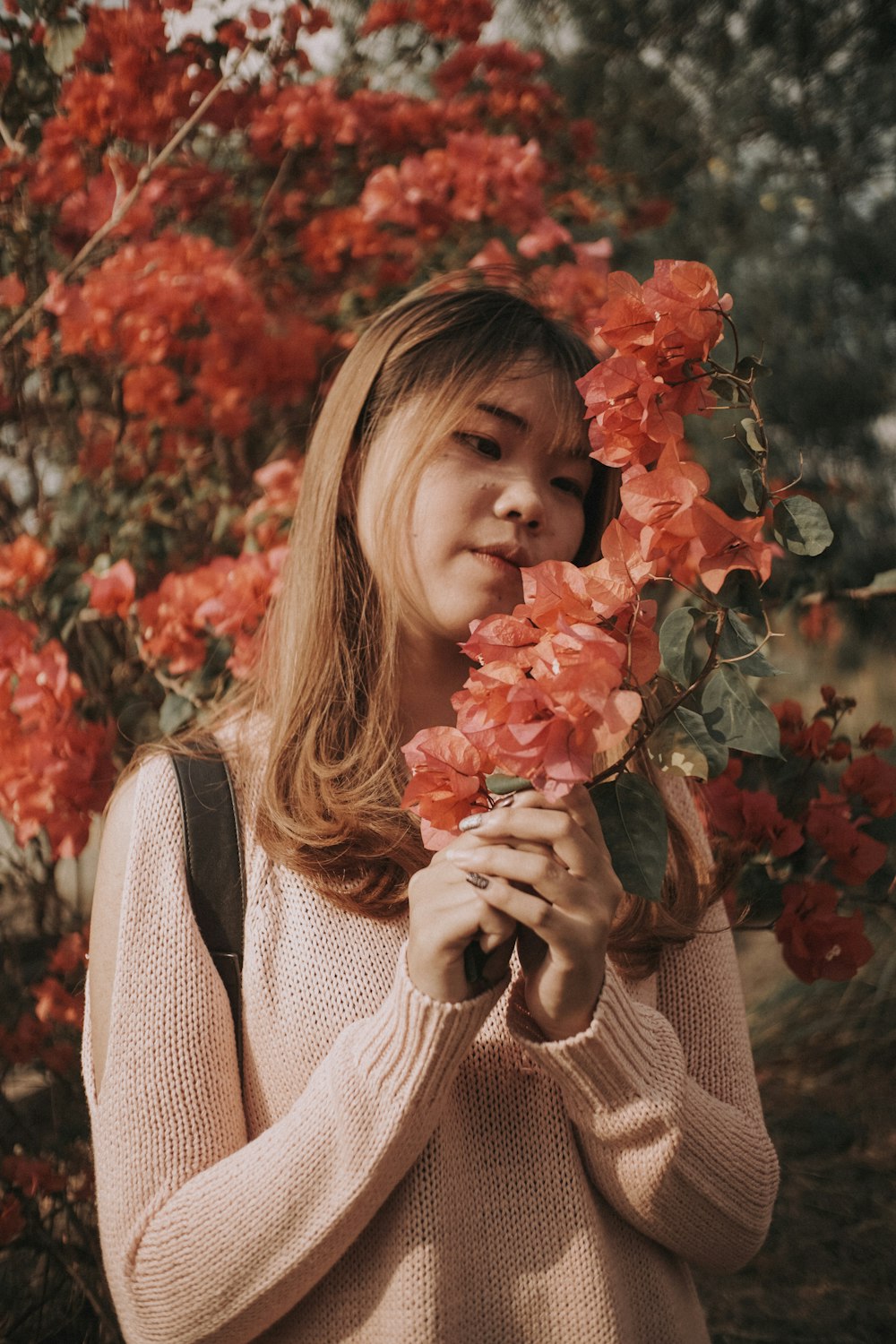mujer sosteniendo una flor de pétalos rojos